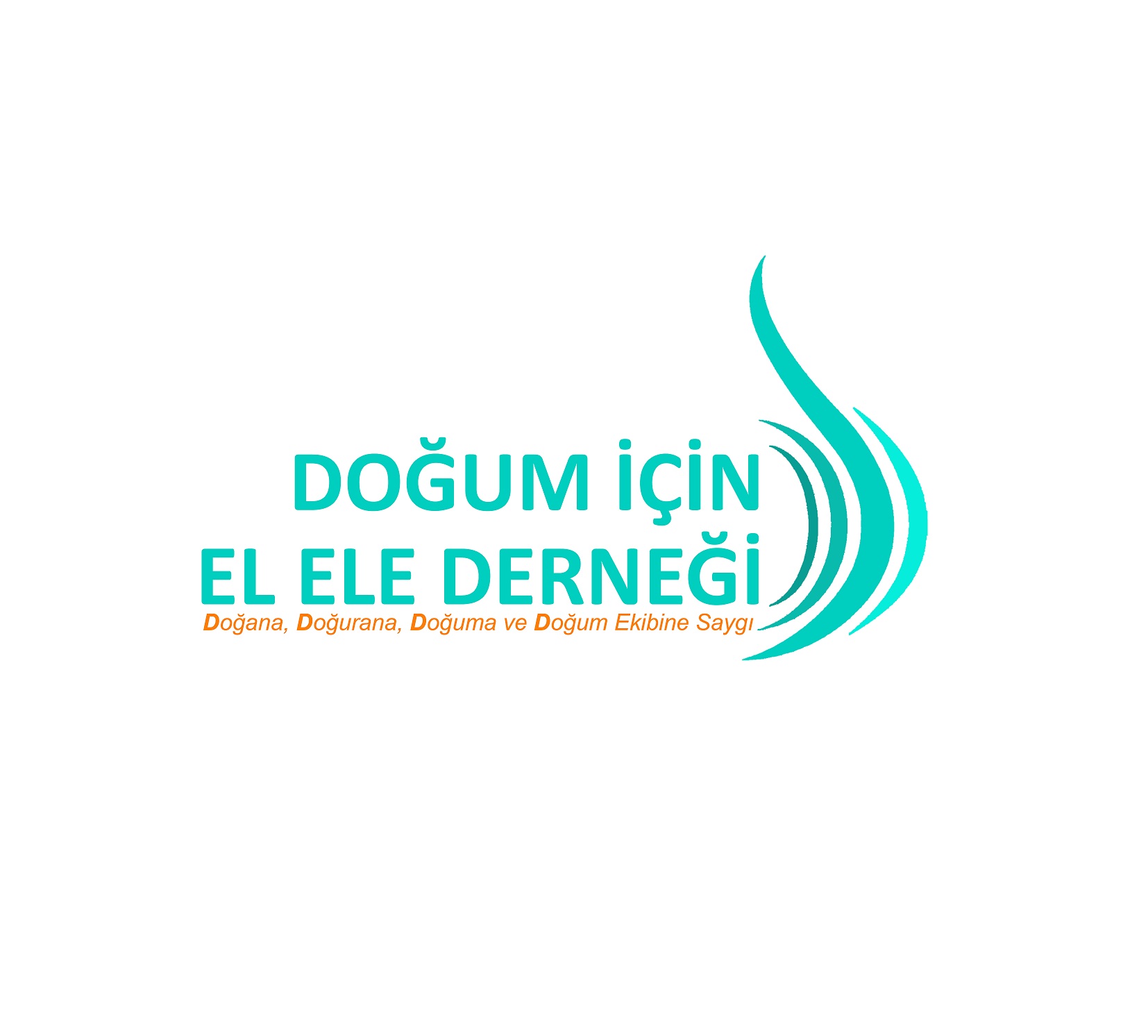 Doğum İçin El Ele Derneği Basın Bülteni: 9 aylık hamile bir kadına uygulanan vahşet!